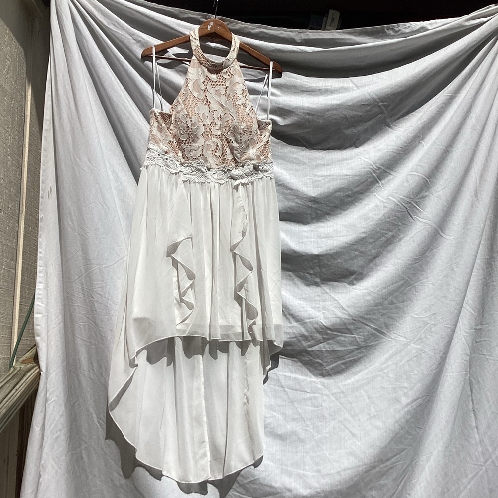 Jodi Kristopher tan and off white lace formal dress, size 15